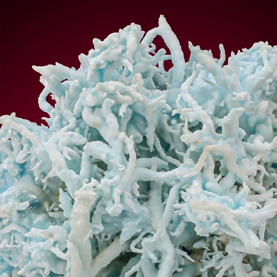 Flos Ferri-Steirischer Erzberg | Eisenerz | Leoben | Styria | Austria